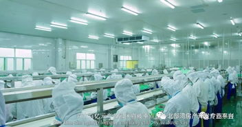 《邊海之城，國門東興》 一部城市的史詩，一份國門的榮光